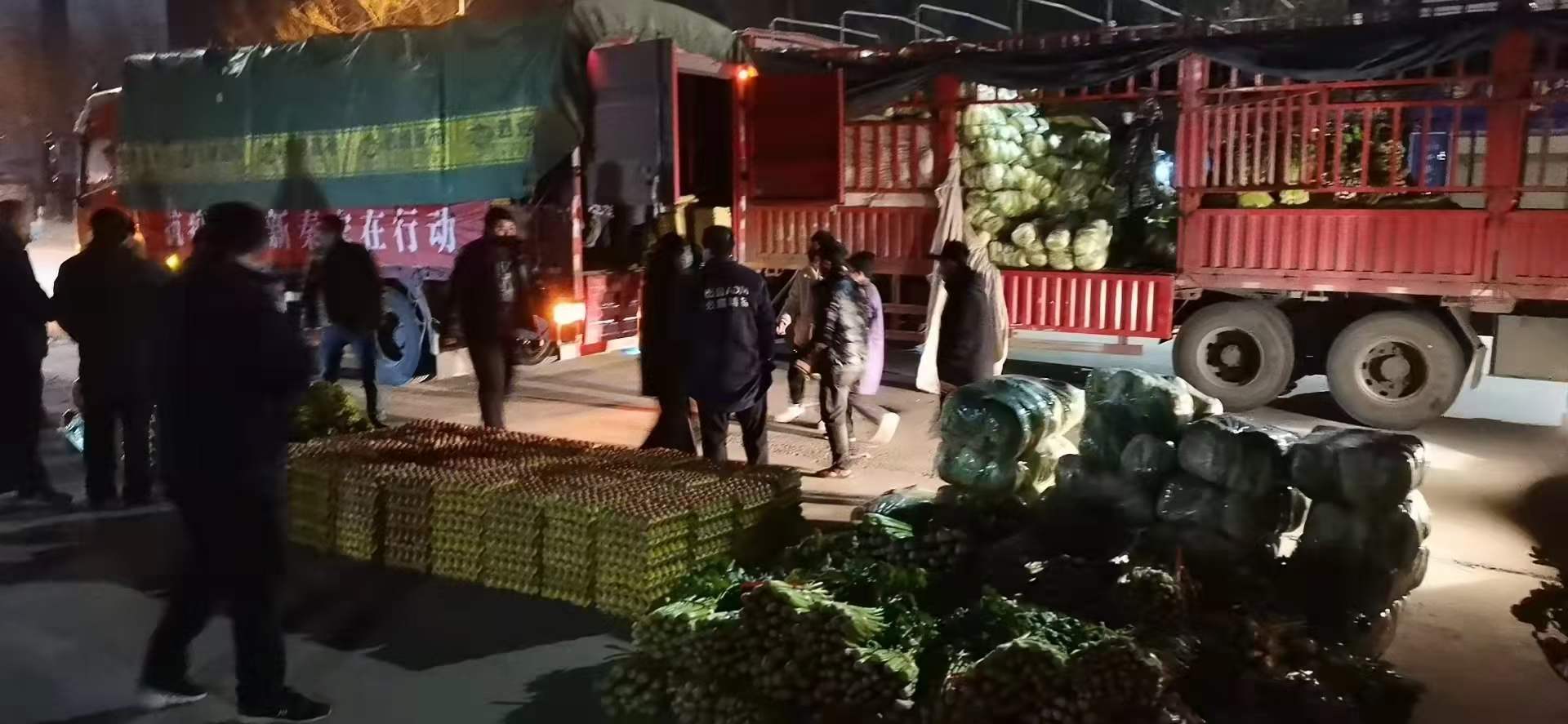 感謝黨和政府對我公司送來新鮮蔬菜，愿，國無恙，山河永固，加油，西安！